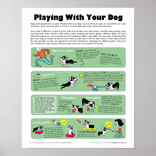 Playing With Your Dog Poster