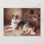 Playmates - Dog Kitten - Puppy Postcard