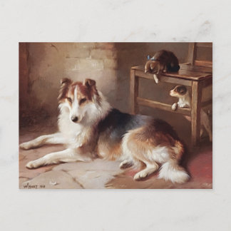 Playmates - Dog Kitten - Puppy Postcard