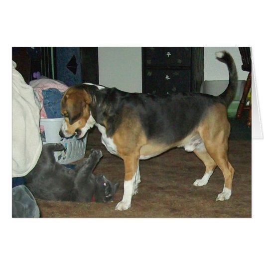 Playtime - Beagle Dog and Russian Blue Cat Cards (Front Horizontal)