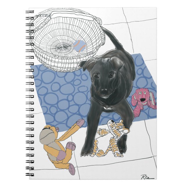 Playtime Notebook (Front)