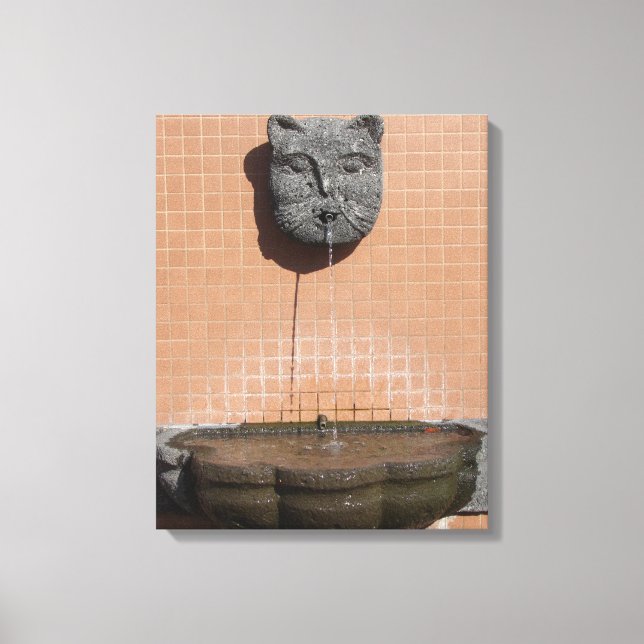 Plaza Cat Fountain Canvas Print (Front)
