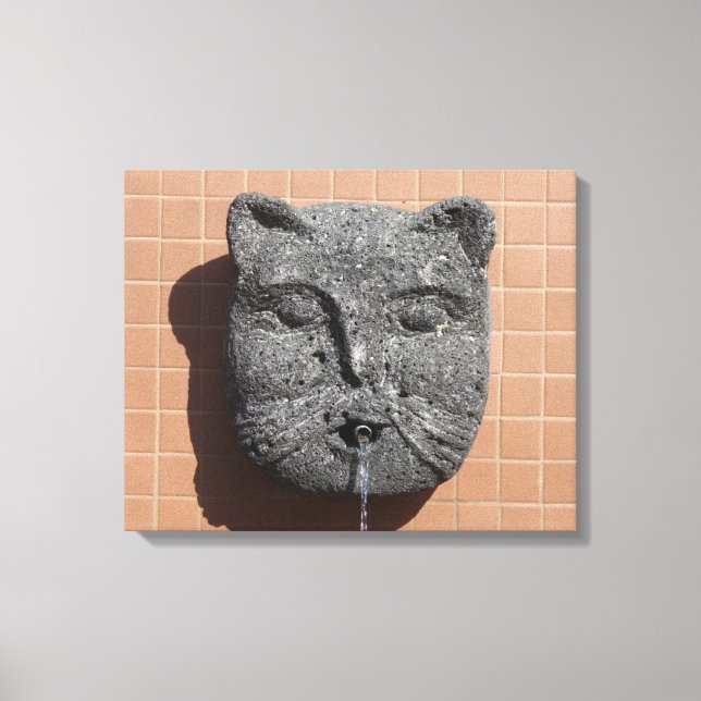 Plaza Cat Fountain Canvas Print (Front)