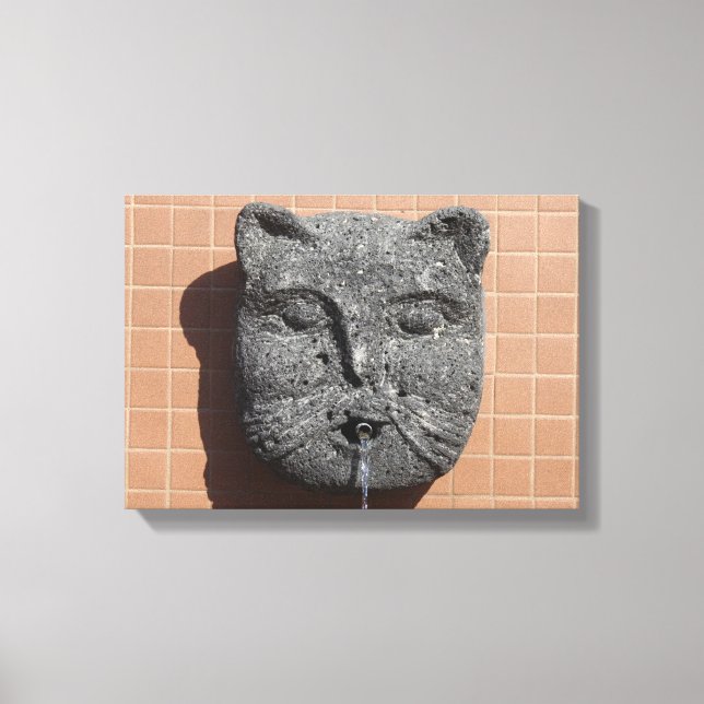 Plaza Cat Fountain Canvas Print (Front)