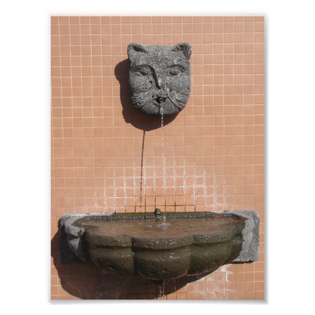 Plaza Cat Fountain Photo Print (Front)