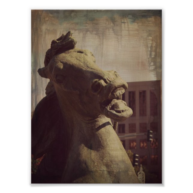 Plaza Horse Photo Print (Front)