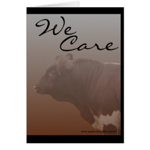 PLB--customize-any occasion Cards