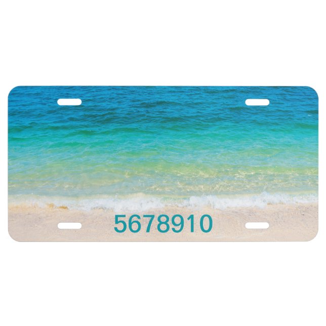 Pleasant Beach License Plate (Front)