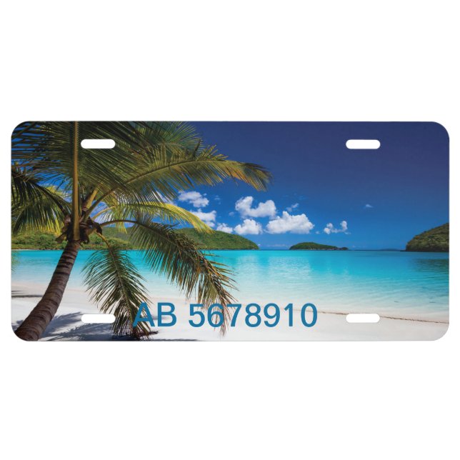 Pleasant Beach License Plate (Front)
