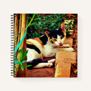 Pleasant Cat Notebook