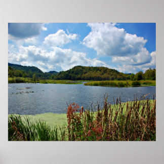 Pleasant Creek Poster