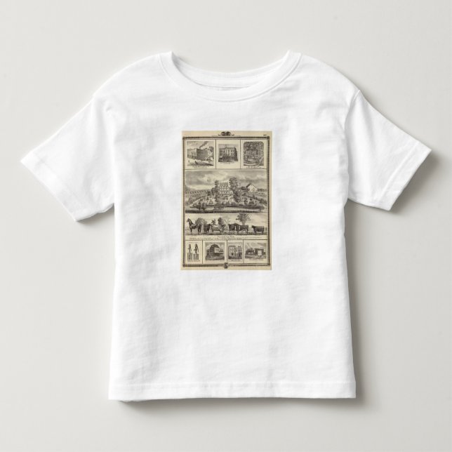 Pleasant Hill Farm bldgs in Decorah Toddler T-shirt (Front)