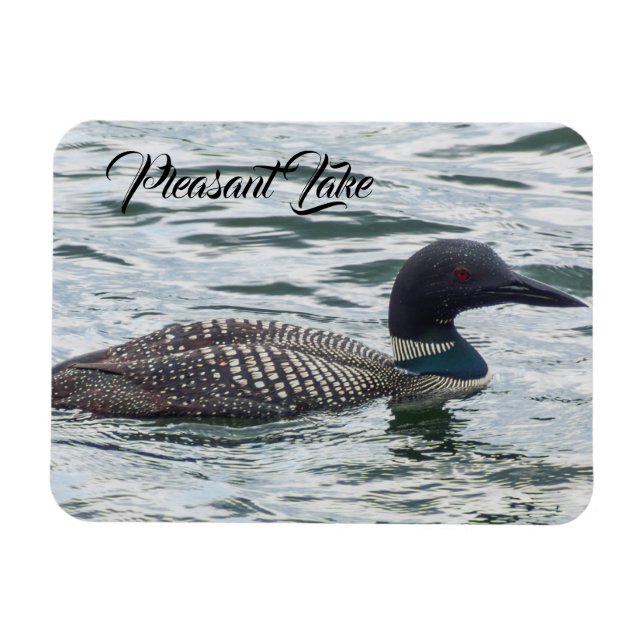 Pleasant Lake Loon Magnet (Horizontal)