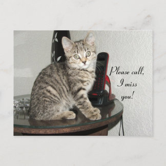 Please Call Kitty Postcard
