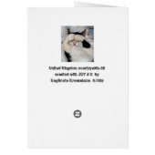 Please Call ME!! Cards (Back)