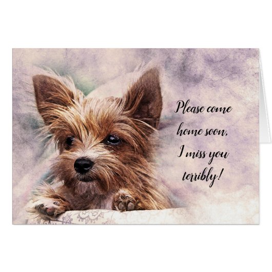 Please Come Home Soon I Miss You Terribly (Front Horizontal)