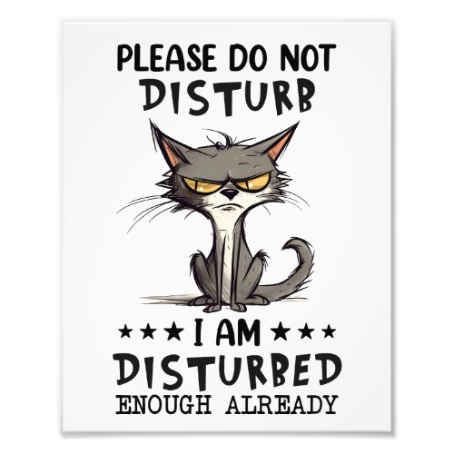 Please Do Not Disturb Cat Sarcasm Funny Photo Print