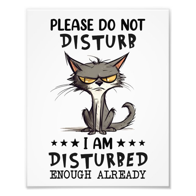 Please Do Not Disturb Cat Sarcasm Funny Photo Print (Front)