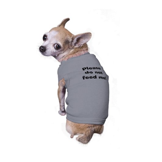 Please do not feed me! tee (Back)