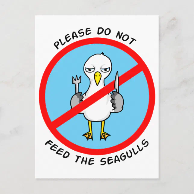 Please do not feed the seagulls postcard | Zazzle