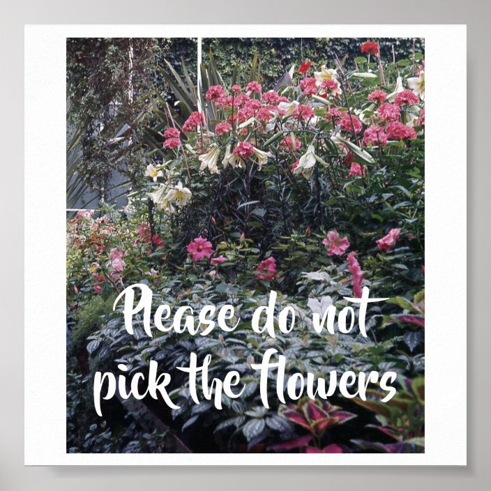 Please do not pick the flowers sign