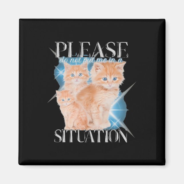 Please Do Not Put Me In A Situation Funny Cat  Magnet (Front)