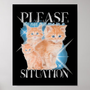 Please Do Not Put Me In A Situation Funny Cat Poster
