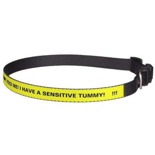 PLEASE DONT FEED ME I HAVE A SENSITIVE TUMMY PET COLLAR