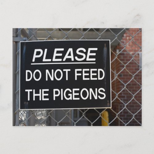 Please Dont Feed the Pigeons New York City NYC Postcard