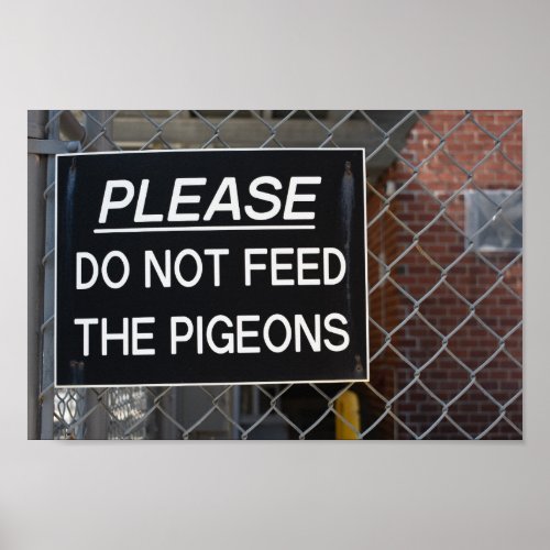 Please Dont Feed the Pigeons New York City NYC Poster