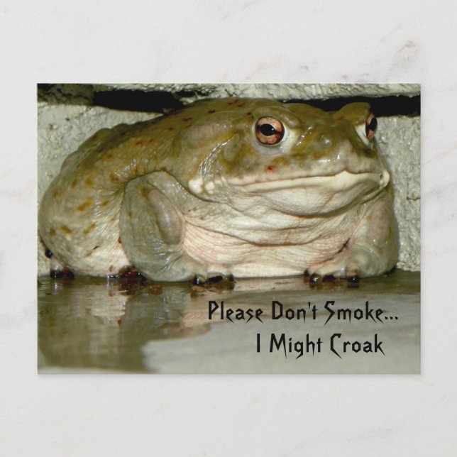 Please Don't Smoke...I Might Croak Postcard (Front)