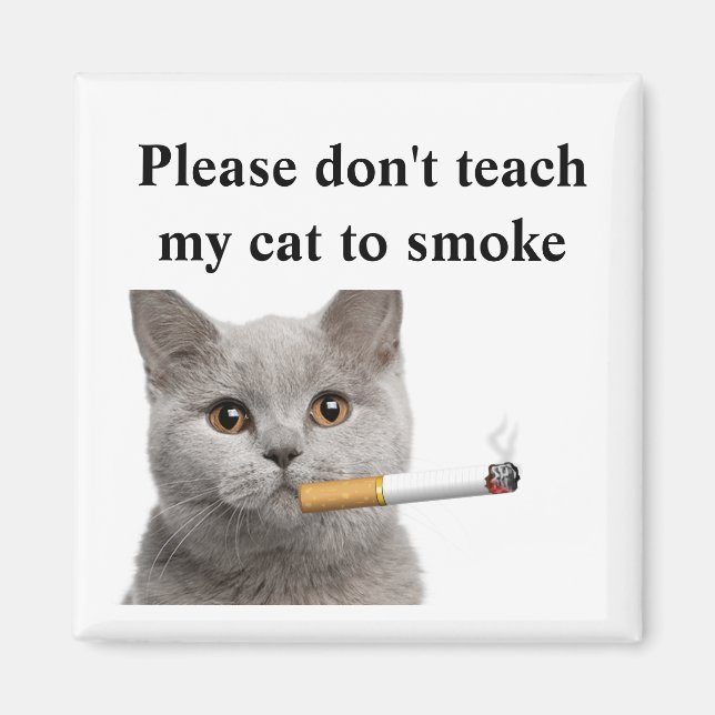 Please don't teach my cat to smoke magnet (Front)