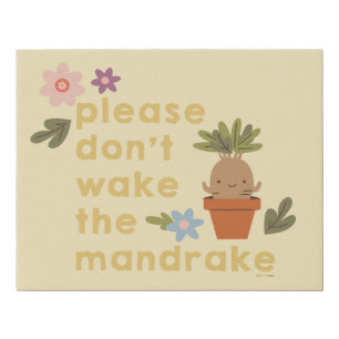 Please Don't Wake The Mandrake Faux Canvas Print