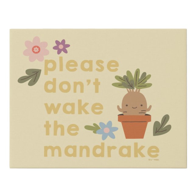 Please Don't Wake The Mandrake Faux Canvas Print (Front)