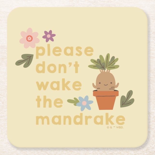 Please Don't Wake The Mandrake Square Paper Coaster (Front)