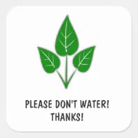 Please Don&rsquo;t Water Stickers - Plants | Zazzle