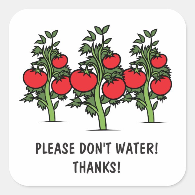 Please Don't Water Stickers - Tomatos (Front)