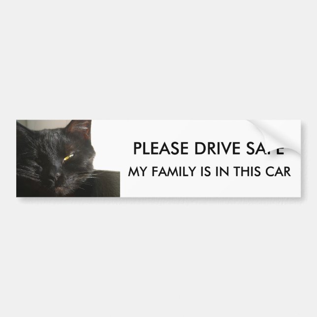 PLEASE DRIVE SAFE , MY FAMILY IS IN THIS CAR BUMPER STICKER (Front)