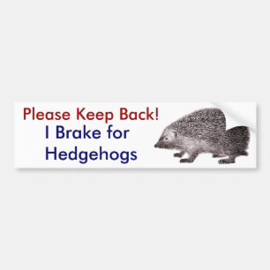 Please Keep Back -- I Brake for Hedgehogs Bumper Sticker