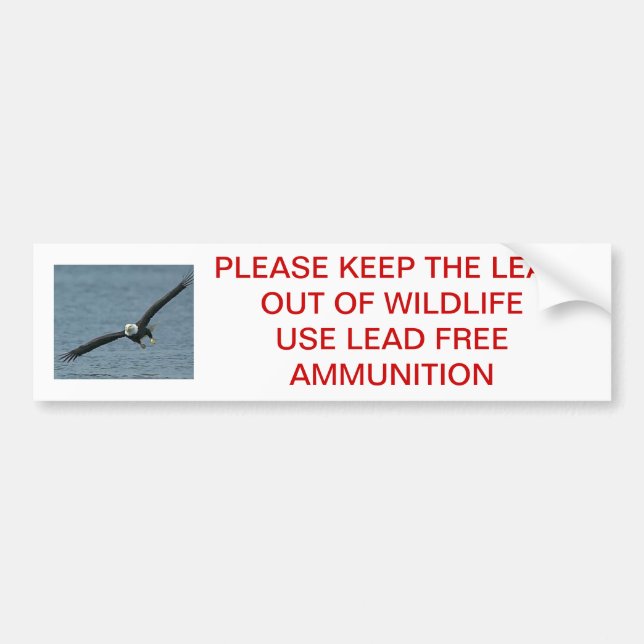 PLEASE KEEP THE LEAD OUT BUMPER STICKER (Front)