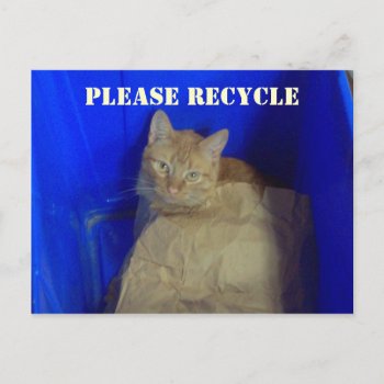 Please Recycle Postcard by time2see at Zazzle
