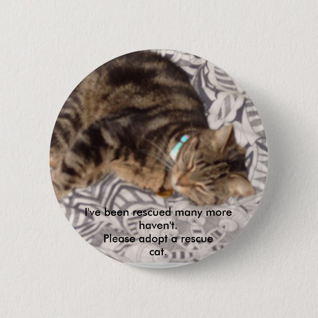 Please rescue a cat button (Front)