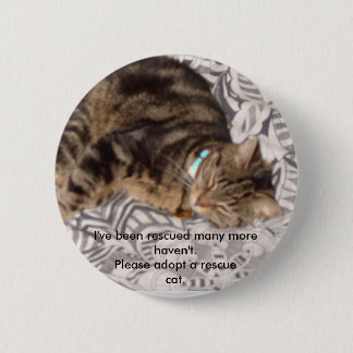 Please rescue a cat button
