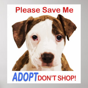 Please Save Me Adopt Don't Shop Poster