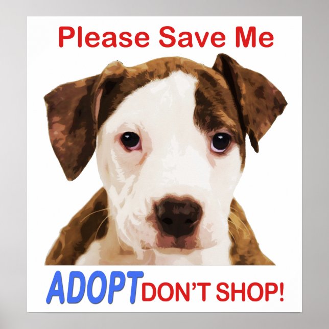 Please Save Me Adopt Don't Shop Poster (Front)