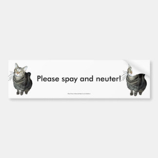 "Please Spay and Neuter" tabby cat bumper sticker
