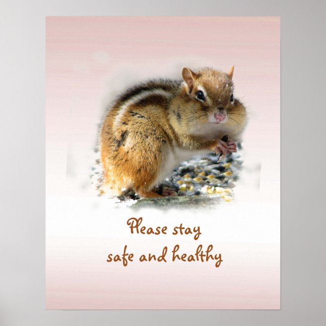 Please Stay Safe and Healthy Says Chipmunk Poster