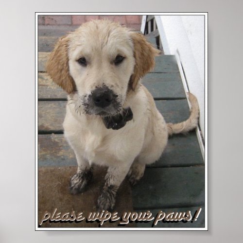 Please Wipe Your Paws Poster