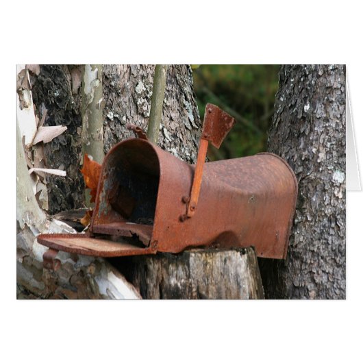 Please write (Front Horizontal)