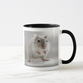 PLEASED TO MEET YOU MUG